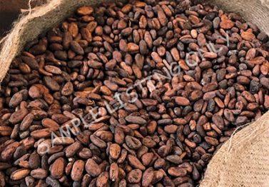 Rwanda Cocoa Beans