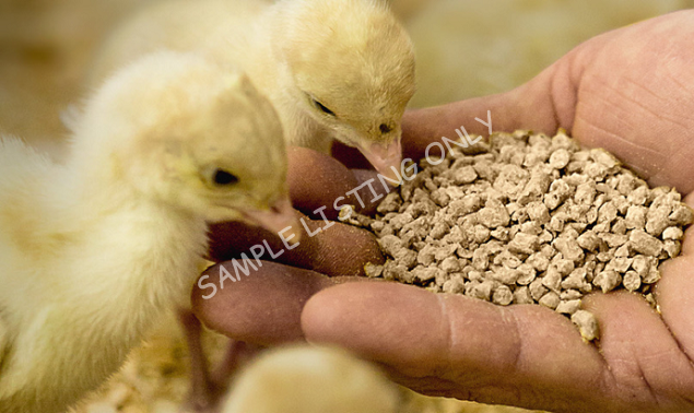 Rwanda Layers (Poultry)