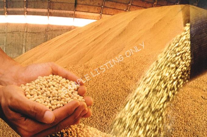 Fresh Dry Rwanda Soya Beans